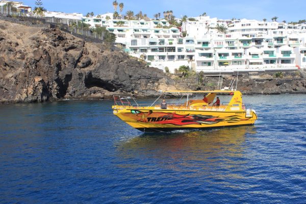 3931-boat-lanzarote-1575398729