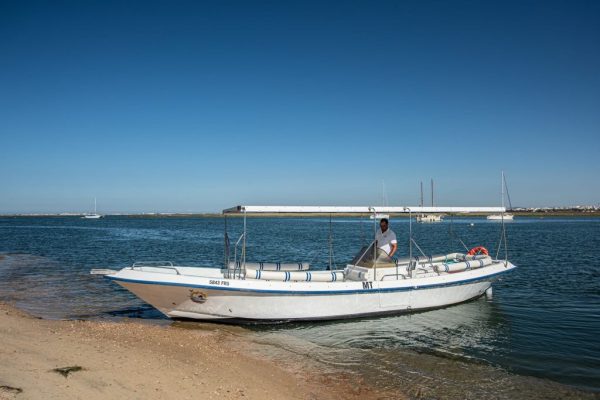 4347-ria-formosa-birdwatching-tour-1575398900