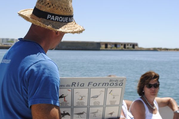 4670-ria-formosa-island-boat-trip-birds-1575399029