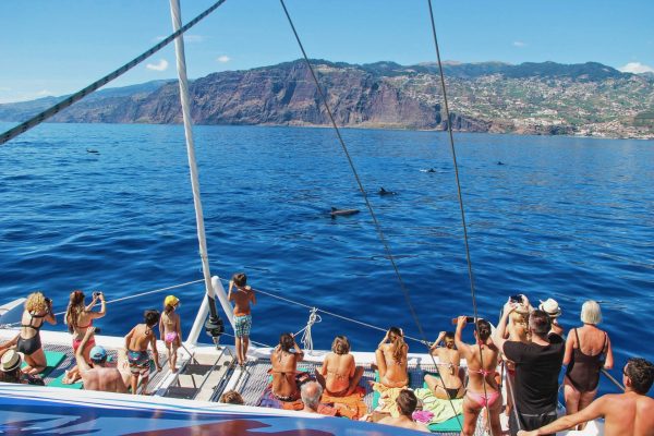 4929-catamaran-boat-trip-funchal-madeira-1575982078