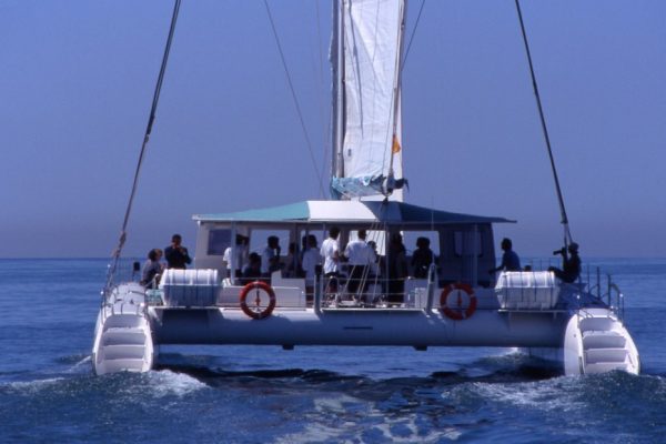 5138-spacious-catamaran-in-barcelona-1579265440