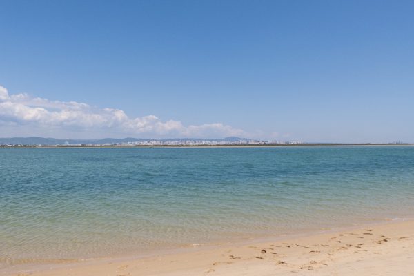 Boat Trips Ria Formosa