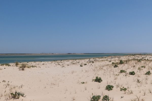 Boat Trips Ria Formosa