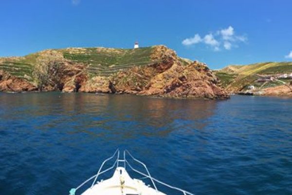 6079-boat-tour-to-berlenga-island-1599234108