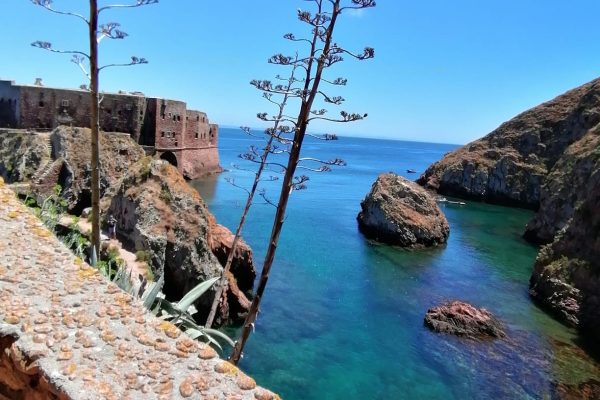 6087-boat-tour-in-peniche-1599237225