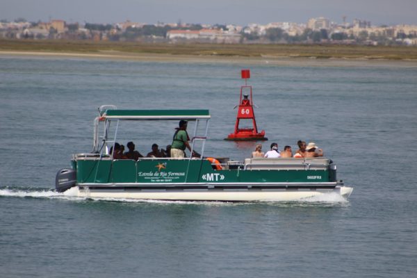 6115-catamaran-tour-in-ria-formosa-1599655501