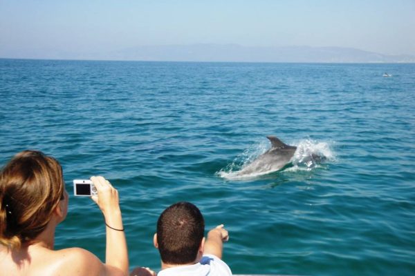 6149-dolphin-watching-tour-in-ria-formosa-1601651092