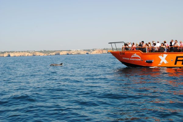 6159-dolphin-watching-in-albufeira-1601652890