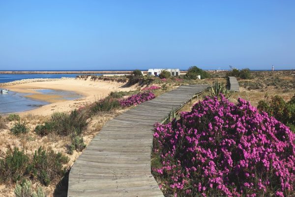 A Wooden Boardwalk On Barreta Island; Algarve, Portugal