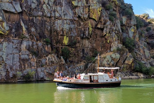 6561-have-a-fun-time-onboard-and-discover-the-douro-valley-1609949766