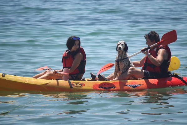 6788-kayak-rental-in-armacao-de-pera-1611576586