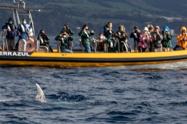 6976-come-on-board-the-boat-in-sao-miguel-1612872797