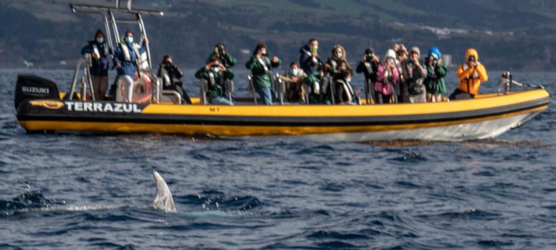 6976-come-on-board-the-boat-in-sao-miguel-1612872797