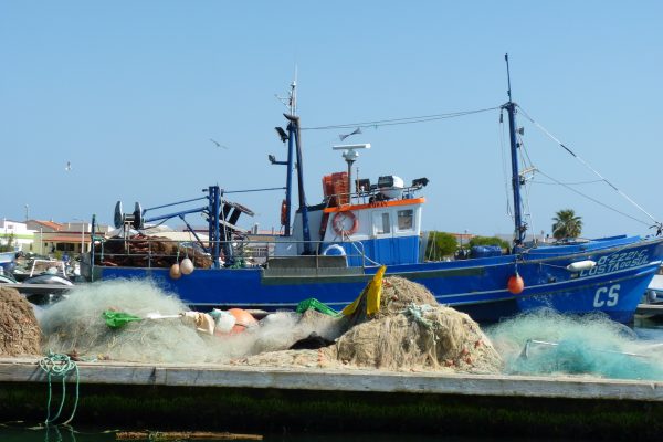 7074-island-boat-tour-in-faro-1614273332