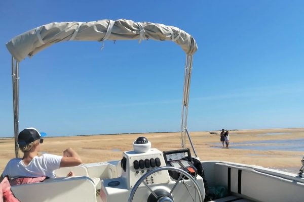 8242-faro-boat-trip-birdwatching-in-ria-formosa-12-1670236429