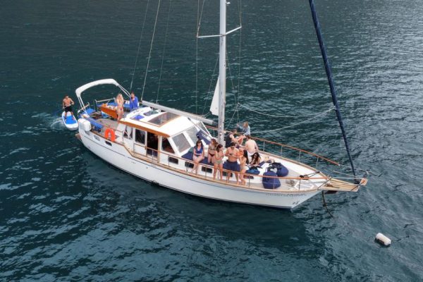 8741-cabo-girao-sailing-trip-for-dolphin-and-whale-watching-1646145429