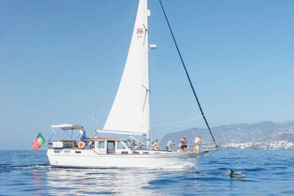 8743-cabo-girao-sailing-trip-for-dolphin-and-whale-watching-1646145429