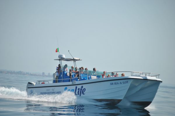 8803-dolphin-observation-in-lagos-with-marine-biologists-1647092130