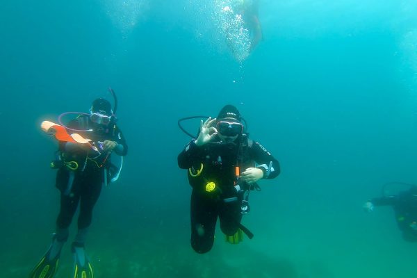 9032-try-scuba-boat-ride-in-arrabida-natural-park-1649340371