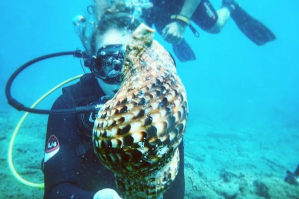 9049-try-scuba-diving-in-crete-for-beginners-1649701663