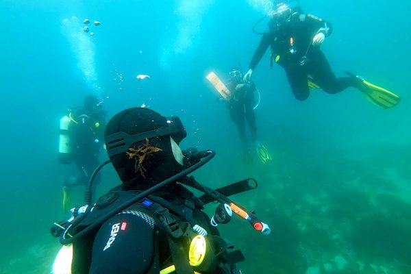 9143-open-water-diver-course-in-arrabida-natural-park-1650366668