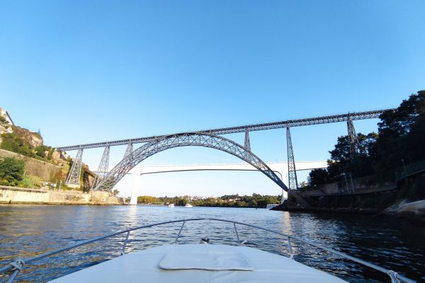 9524-d-luis-bridge-boat-tour-in-porto-1673432001