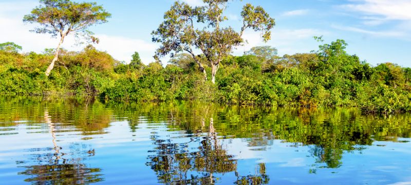 Amazonas view from the river