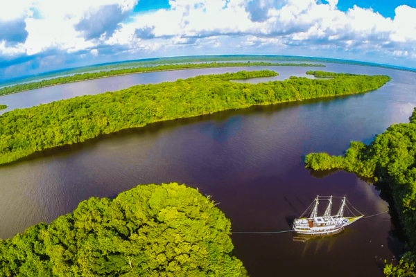 Excursión en barco a los delfines y a una aldea indígena desde Manaos