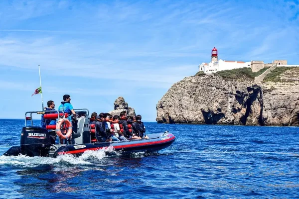 Whale watching in Sagres 1