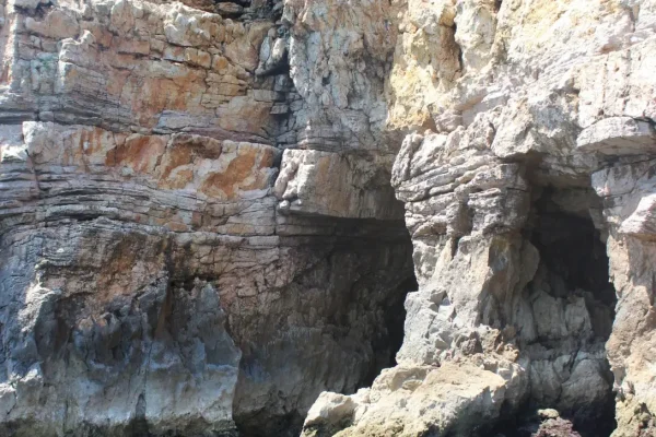 caves dolphin watching in Sagres 1