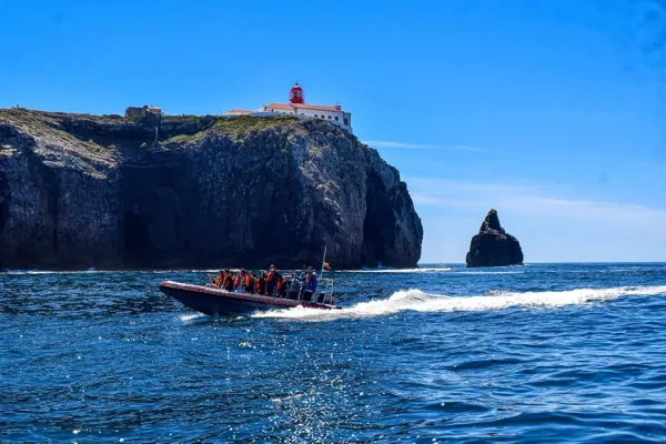 caves dolphin watching in Sagres 2