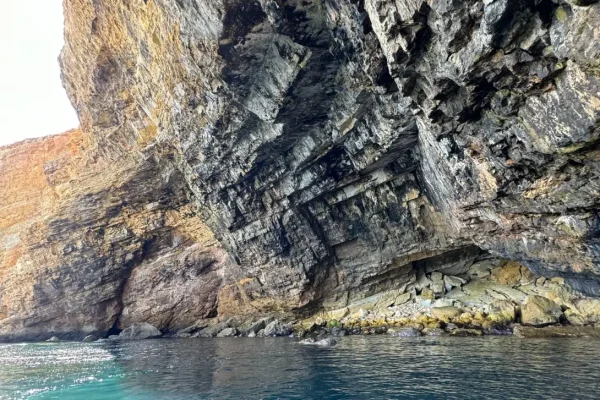 caves dolphin watching in Sagres 3