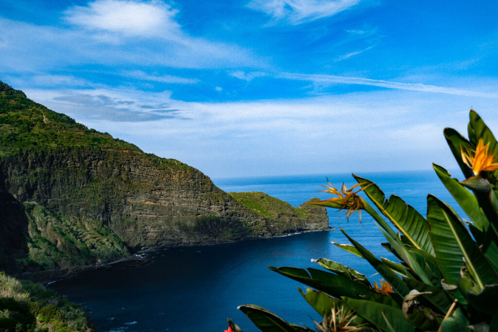 Funchal City