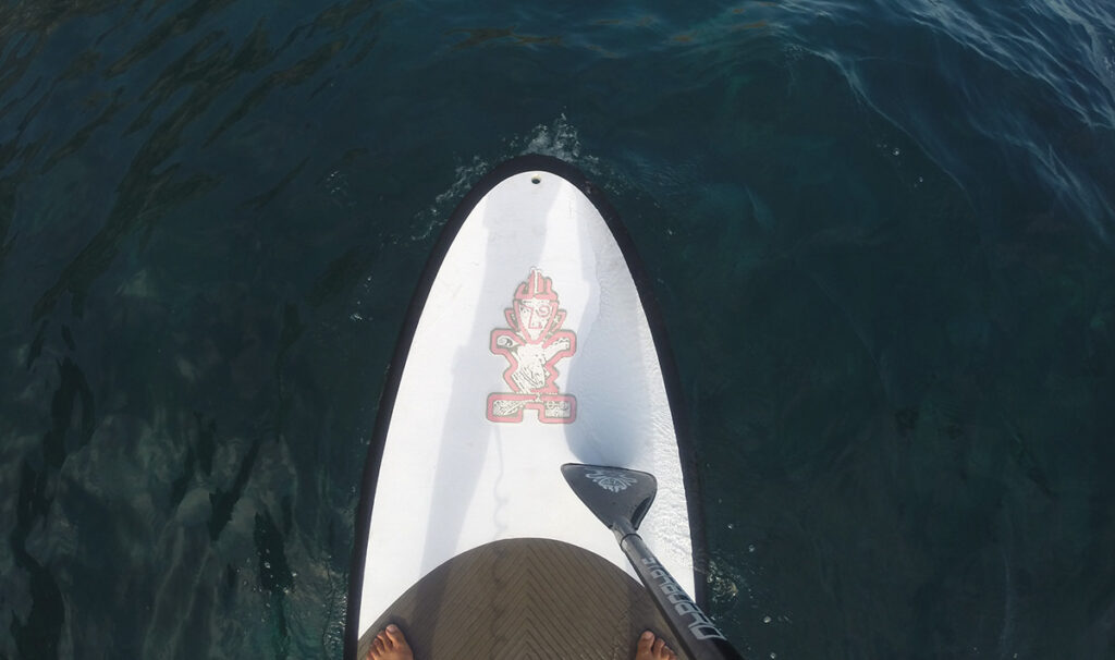 A big plus about paddle boarding? It's easy to learn!